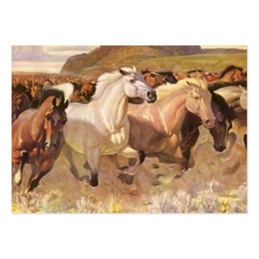 NFP WILD MUSTANG HORSES CONTACT BUSINESS CARD (back side)