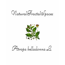 NFS "Atropa belladonna L." Top t-shirts by NaturalFractalSpaces NFS "Atropa belladonna L." Top t-shirts