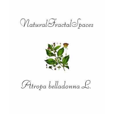 NFS "Atropa belladonna L." Top Shirts by NaturalFractalSpaces
