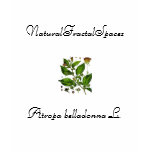 NFS "Atropa belladonna L." Top t-shirts