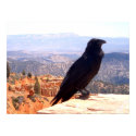 NG Crow posters by unscenephnomenon NG Crow posters