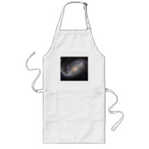 NGC 1672 Barred Spiral Galaxy Apron