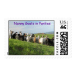 NGIP Postage Stamps