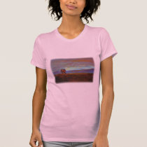 'Ngorongoro Sunset' t-shirts