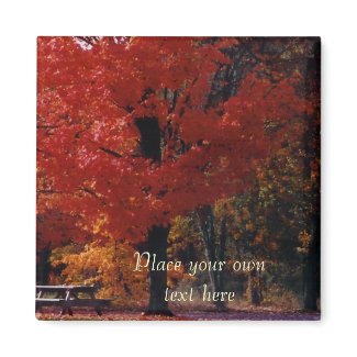 NH Autumn park magnet Customize it magnet
