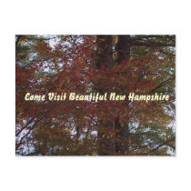 NH postcard