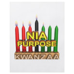 Nia flyers