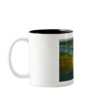 niagara falls mug