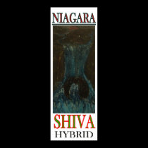 NIAGARA SHIVA HYBRID posters