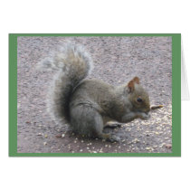 Nibbles cards by silvapagan Nibbles cards