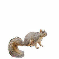 Nibbles the Fortune-Telling Squirrel Ornament Photo Cutout