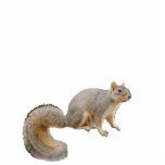 Nibbles the Fortune-Telling Squirrel Ornament Photo Cutout