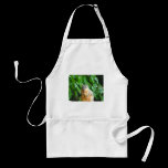 Nibbling Squirrel aprons