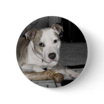 Nibs and his Bone buttons