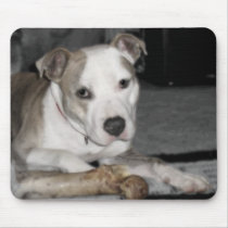 Nibs and his Bone mousepads
