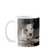 Nibs and his Bone mugs