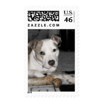 Nibs and his Bone postage