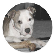 Nibs and his Bone stickers