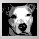 Nibs the Pit Bull Posters