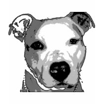 Nibs the Pit Bull t-shirts