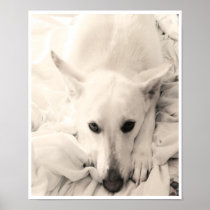 Nice and Cozy ~ Print / Poster