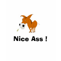 , Nice Ass ! t-shirts