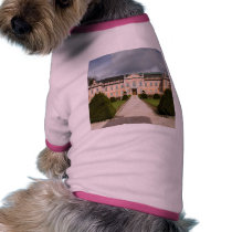 Nice Castle In East Bohemia pet clothing
