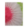 Nice circle paper pattern! postcards
