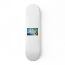NICE COCONUT SKATEBOARD