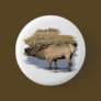 Nice Elk in the stream