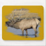 Nice Elk in the stream