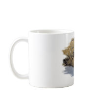 Nice Elk in the stream mugs