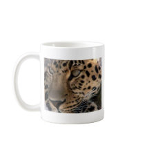 nice kitty coffee mug