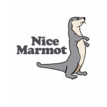 Nice Marmot ferret t-shirts