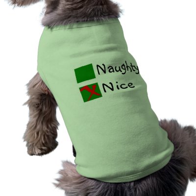 Nice Not Naughty Christmas pet clothing