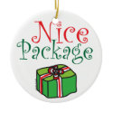Nice Package Holiday Ornament ornament