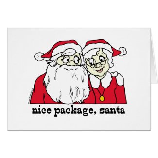 Nice Package holiday cards