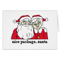 Nice Package Santa cards