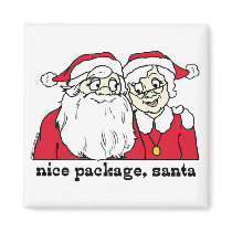 Nice Package Santa magnets