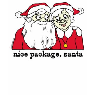 Nice Package Santa T-shirt shirt