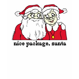 Nice Package Santa T-shirt shirt