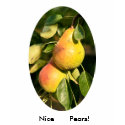 Nice Pears! t-shirts