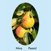 Nice Pears! t-shirts