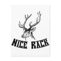 Nice Rack Deer Antlers Post Card