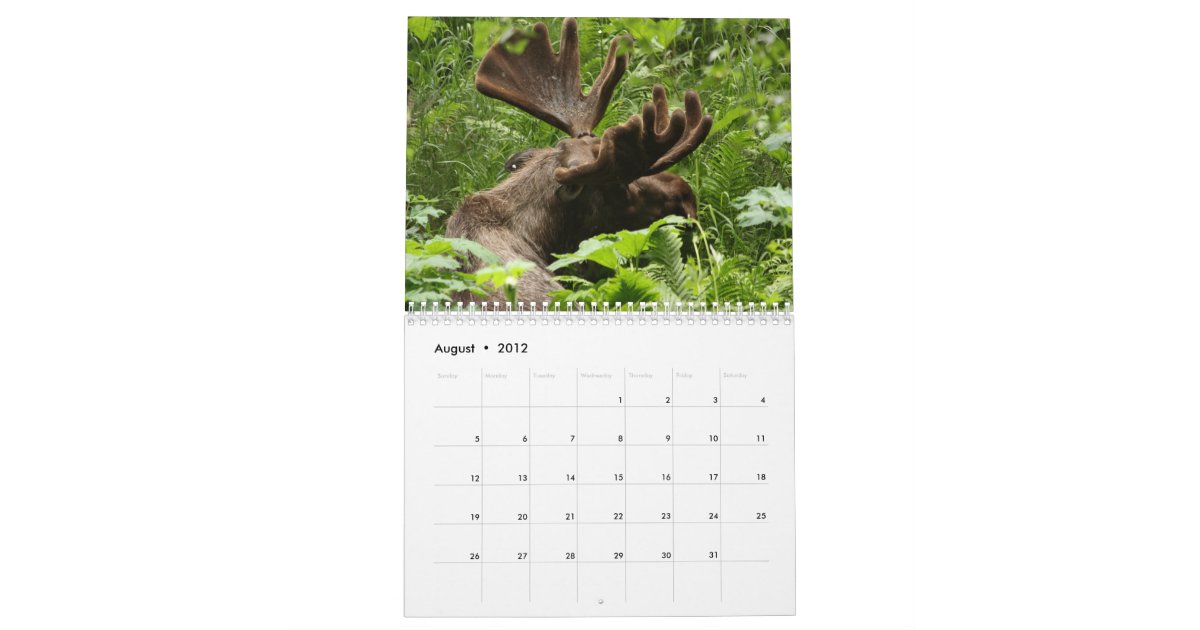 Nice Racks Wall Calendar Zazzle