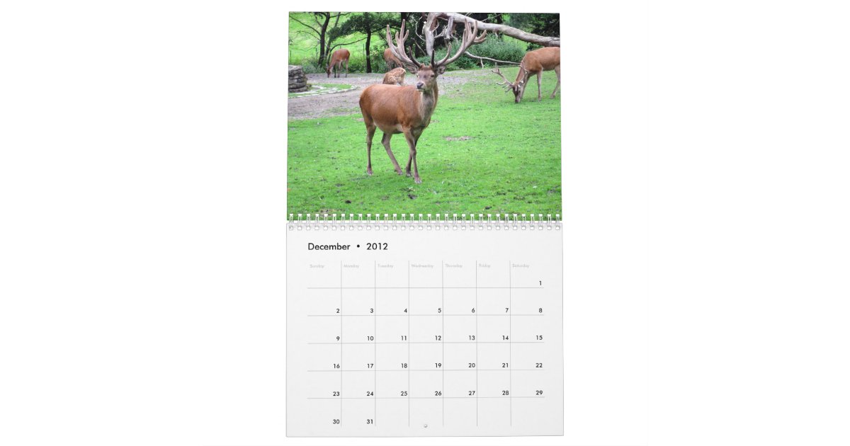 Nice Racks Wall Calendar Zazzle