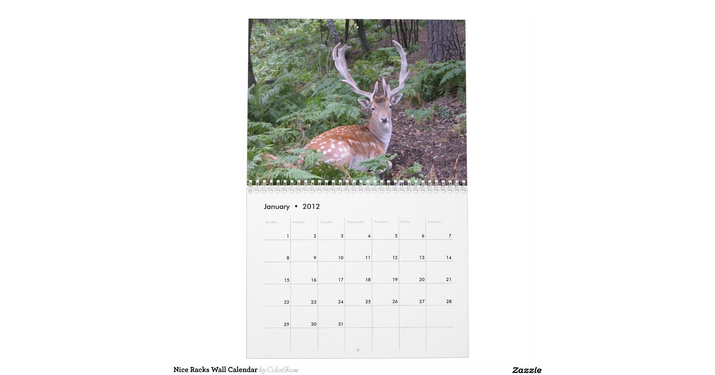 nice_racks_wall_calendarr6566895f88684c3189b3f82c573c02b0_j383v_8byvr