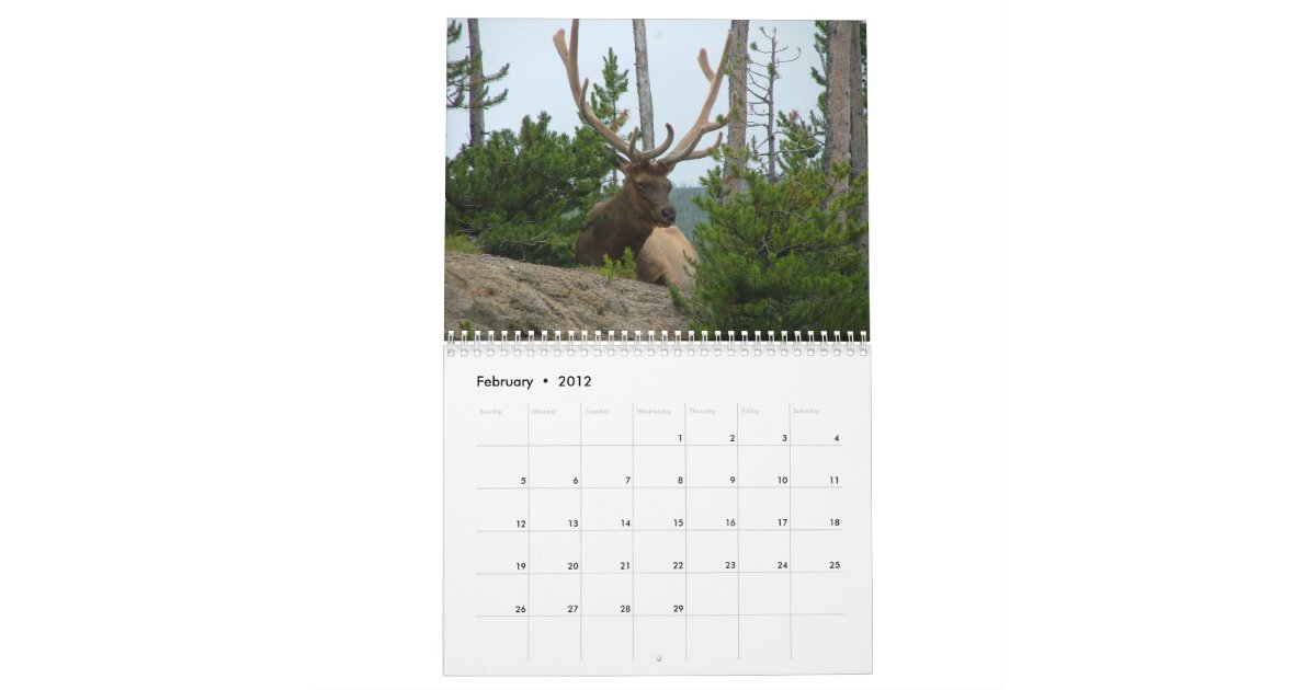 Nice Racks Wall Calendar Zazzle