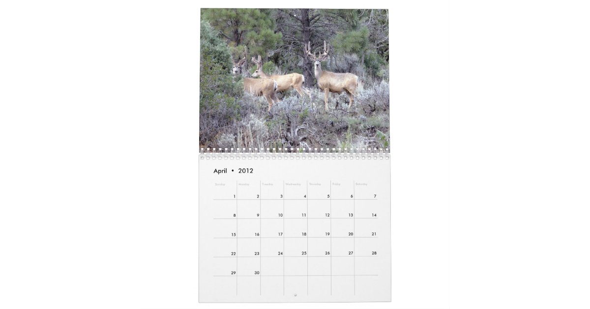 Nice Racks Wall Calendar Zazzle