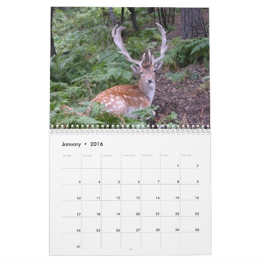 Nice Racks Wall Calendar